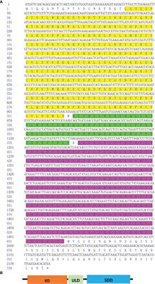 Scallop IKK1 Responds to Bacterial and Virus-Related Pathogen Stimulation and Interacts With MyD88 Adaptor of Toll-Like Receptor Pathway Signaling